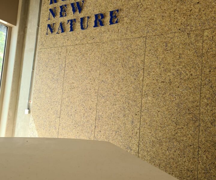 Organoid - Tapet i WILDSPITZE HIMMELBLAU på bagvæggen.