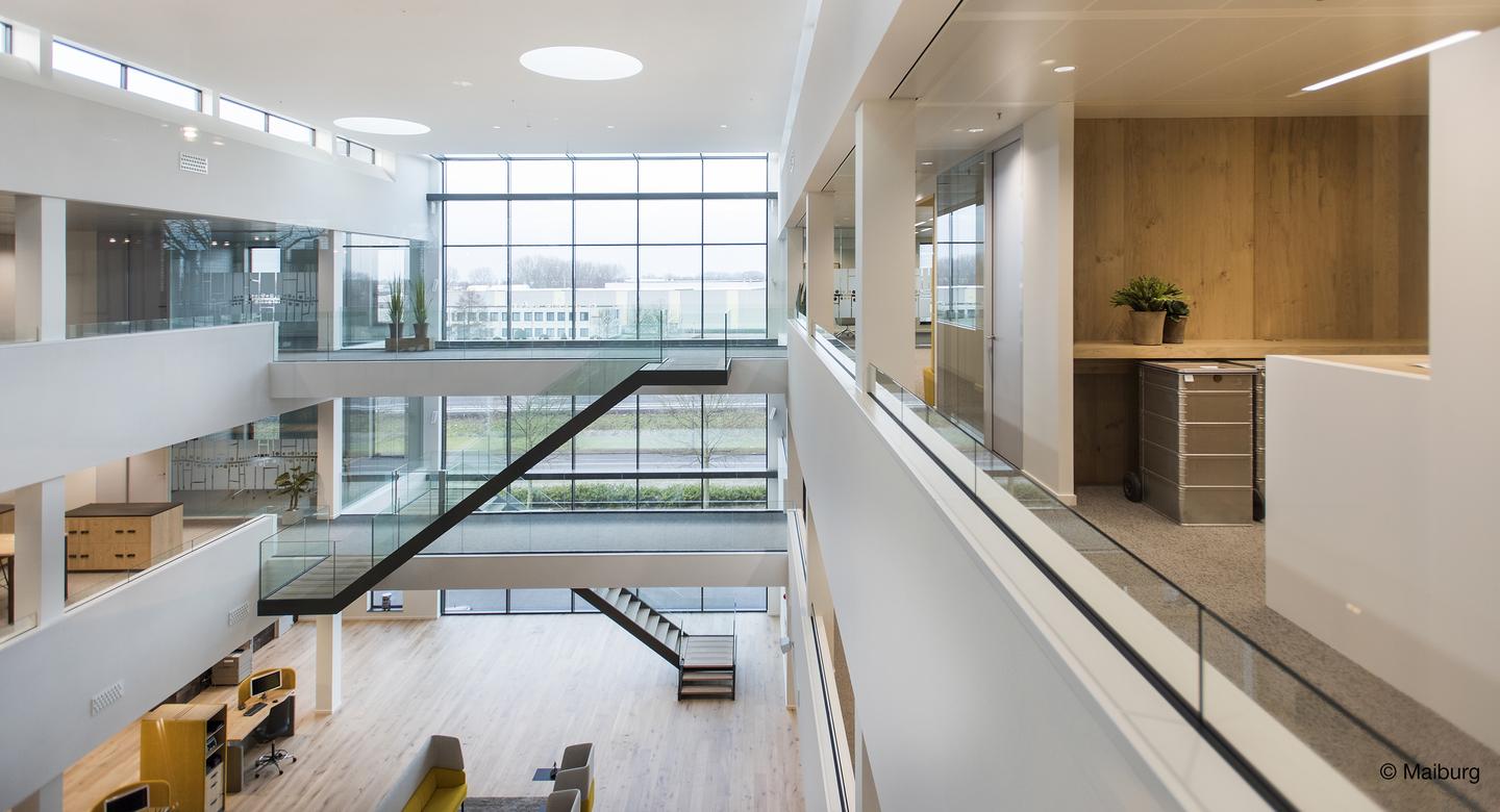 Oak With Small Knots 1